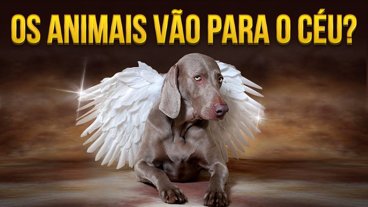 Perguntas Sobre Animais na Bíblia