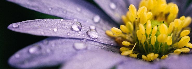 /uploads/posts/Deus revela sua grandeza nas pequenas coisas