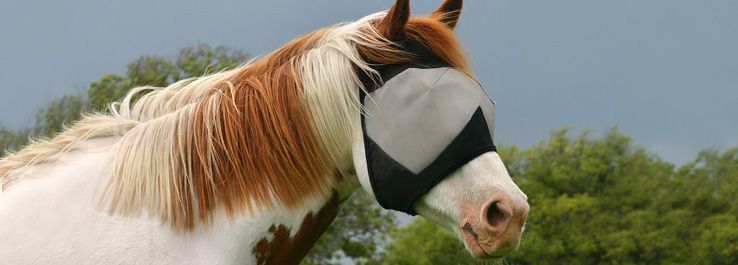 /uploads/posts/A lição da máscara e a Bíblia