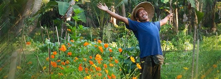 /uploads/posts/Viva para a glória de Deus